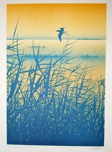 Daniel SCIORA - Estampe originale - Lithographie - L'envol - Imagen 1 de 3