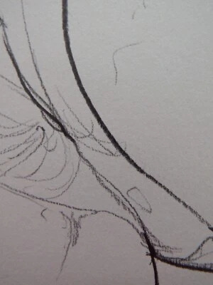 Hand Drawn NSFW Anatomical Graphite Drawing of a Female Vulva Vagina CENSORED - Image 1 of 4