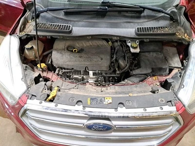 Display Screen 2017 Escape Sku#4281614 - Bild 1 von 4