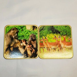 Vintage Animal Drink Coasters Square Chipboard Set of 2 Safari Zoo Photography - Picture 1 of 4
