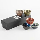 Mino ware Guinomi Japoński kubek sake Zestaw ceramiczny 5 kolorów Przeszklenie Japonia