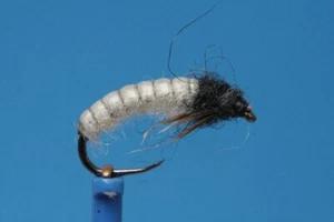 Weiße Köcherfliegenlarve - Bild 1 von 1