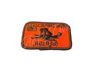 Vintage CAPRICORN Awake Zodiac Sign Astrology Reverse Cowgirl Horoscope Patch - Picture 1 of 3