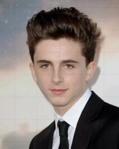 TIMOTHEE CHALAMET - 10" x 8" Colour Young Promotional Portrait Photograph - Imagen 1 de 1