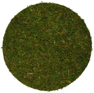 (26325) Moss Soil Toppers (Place Mats), Fresh Green, 16" (3 units) - Picture 1 of 3