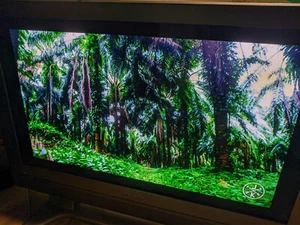Panasonic TH-42PD60U 480p EDTV Plasma TV Retro Gaming Movies with Remote - Picture 1 of 10