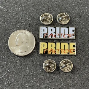 Menge 2 PVHS Pride Factor Paradise Valley Arizona Pins Pinbacks #48785 - Bild 1 von 2