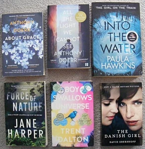BULK BOOKS All the Light we Cannot See DANISH GIRL Into the Water ABOUT GRACE PB - Picture 1 of 7