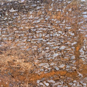 Gem Dinosaur Bone Slab - Blue Agate Cell Pattern - Utah Fossil - Picture 1 of 4