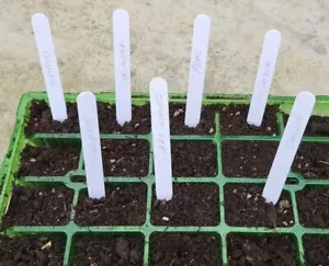 Etiqueta de plantas etiquetas blancas palo etiquetas de semillas de jardín bandeja de maceta invernadero - Imagen 1 de 4
