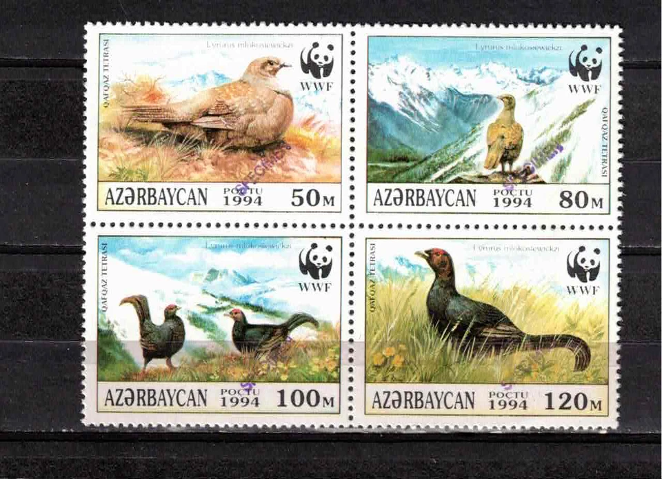 S40515 AZERBAIYÁN 1994 MNH Uccelli 4V ESPECIMEN Foto 1 de 1