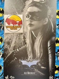 Hot Toys DC Comics Catwoman The Dark Knight Trilogy MMS627 1/6 Selina Hathaway - Picture 1 of 11