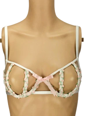 VICTORIAS SECRET DREAM ANGEL СЕКРЕТНЫЙ САД ОТКРЫТЫЙ ЧАШКА БАЛКОНЕТ БЮСТГАЛЬТЕР 32C 32D НОВЫЙ С ЯРЛЫКАМИ - Изображение 1 из 4