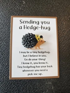 Taschenumarmung / Haustier Igel Geschenk  - Bild 1 von 5