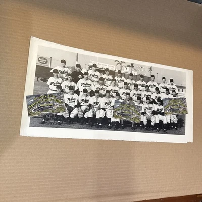 Foto del equipo de los Padres de San Diego 1949 Liga de la Costa del Pacífico PCL original Foto 1 de 2
