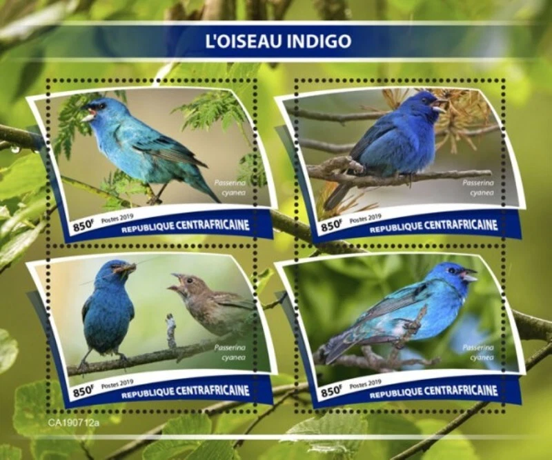 Central Africa - 2019 Indigo Bunting Bird - 4 Stamp Sheet - CA190712a - Image 1 of 1