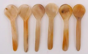 6 Büffelhorn Zucker Senf Salz Pfeffer Kaviar Gewürzlöffel 7 cm - Bild 1 von 1