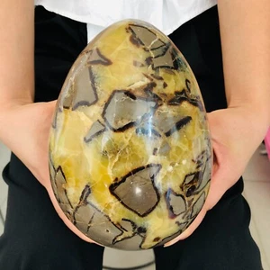 8,69 Pfund natürlicher Drache Septar geodätische Untersuchung Quarz Kristall Ei Heilung 3950 g - Bild 1 von 11