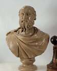 Vintage Sculpture Bust Neoclassical Terracotta Art Diogenes of Sinope Greek