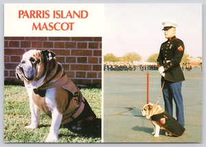 Postcard Parris Island SC Official Mascot Thor Marines Corps Recruit Depot - Picture 1 of 6