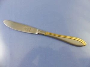 unbekanntes LINES GOLD ACCENT FROSTED DINNER KNIFE BY NICOLO STAINLESS 18/10 GERMANY - Bild 1 von 4