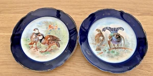 Pair of Vintage Exotic Game Birds Plates, Cobalt Rim, Temple & Crook, Belgravia - Picture 1 of 4