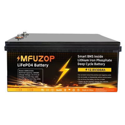 Batería de litio 12V 300Ah LiFePO4 3840Wh BMS 15000+ ciclos instalación solar barco RV - Imagen 1 de 4