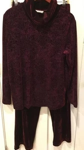 Coldwater Creek Pants Set  NWT Burgundy Velour Velvet SZ L Cowl Neck Tunic Top - Picture 1 of 18