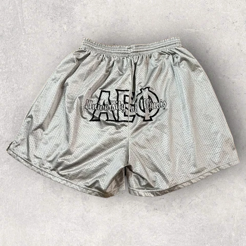 Vintage Champion Shorts Womens XL U Of I Alpha Epsilon Phi Sorority Above Knee Cover