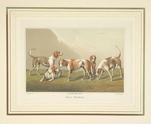 Stag Hound dogs Sporting Print After Alken & Clarke 1820 mounted  - Picture 1 of 5
