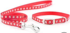 Puppy Collar and Lead Set - Red. Petite Dog. Reflective. 20-30cm. Lead 100x1cm. - Picture 1 of 4