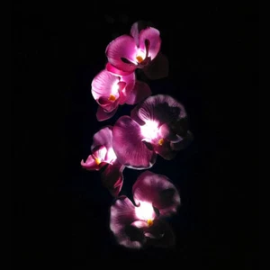 5 Head Solar LED Decorative Outdoor Lawn Lamp 5 Head Of Solar Butterfly Orchid - Picture 1 of 6