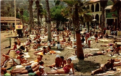PC Enjoying the Sun on the Beach at Avalon, Santa Catalina Island, California - Image 1 of 2