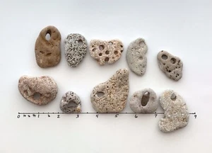 10 Natural Holey Beach Rocks Hag Stones Fairy Wish Amulet Mystic Magic Bead Q4a - Picture 1 of 11