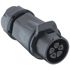 Lumberg 0262 02 DIN Connector Straight 2 Pins 1pc - Picture 1 of 1