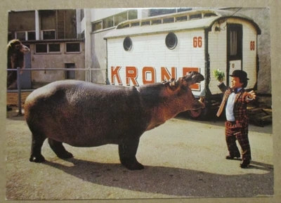 Circus Krone, Clown Klein-Helmut, Ansichtskarte - Bild 1 von 3