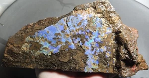 Boulder Opal Rough Specimen Blue Green Crystal Winton Lapidary 752 Grams 3760 Ct - Bild 1 von 13