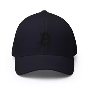 Subtle Bitcoin Black Baseball Cap BTC Crypto Trader Gift Embroidery Dad Hat - Picture 1 of 10