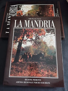 LA MANDRIA (A. B. Varotto) Regione Piemonte 1991 - Bild 1 von 2