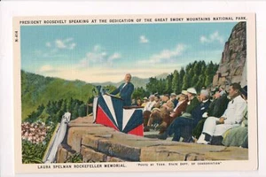 Famous People - Roosevelt, President - Laura Rockefeller memorial - C17412 - Picture 1 of 2