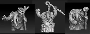 Druidi Loxodon D&D Onmioji 28mm 32mm inserzione multipla - Foto 1 di 6