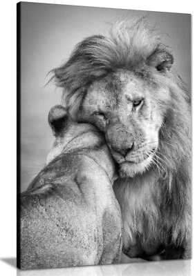 Black White Lion & Lioness Couple Love Framed Canvas Print Wall Art Home Decor - Image 1 of 4