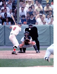 CARL YASTRZEMSKI BOSTON RED SOX 8X10 PHOTO BASEBALL - Picture 1 of 1