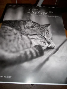 Kalender Wegler: Katzen - literarischer Spaziergang - 2016 - Basteln Werken - Bild 1 von 2