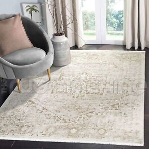 Salcombe Roman Medallion Distressed Beige Transitional Rug - 4 Sizes **NEW**