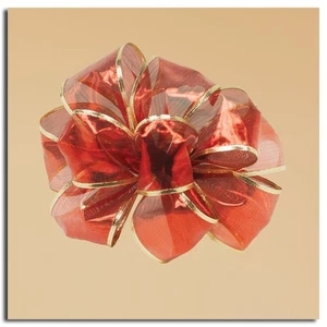 CC Christmas Decor Sheer Red Gold Edged Gift Boxed Wired Ribbon 2.5" x 10 Yards - Picture 1 of 1