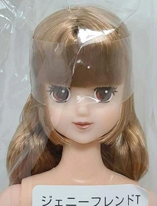 LICCA CASTLE Fashiondoll M6046 10.62in / 27cm JENNY Friend TIMOTHY OOAK Fun Doll - Picture 1 of 10