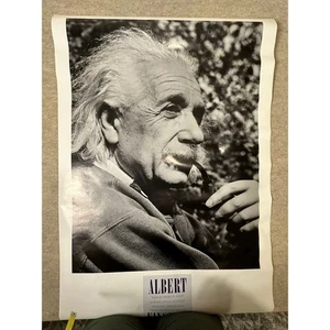 Albert Einstein Zitat Große Geister Gewalttätige Opposition Mittelmäßige Köpfe Poster - Bild 1 von 7