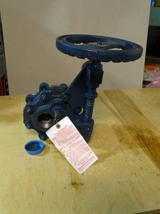 Everlasting 2" Kessel Abblasventil langsam öffnend 250 Pfund, 4060 A - Bild 1 von 10