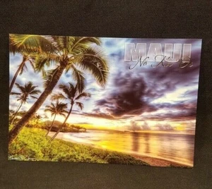 MAUI No Ka Oi HAWAII MALUAKA BEACH THE BEST RANDY JAY BRAWN POSTCARD - Picture 1 of 5